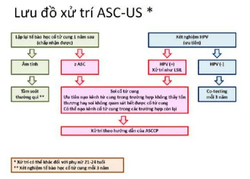 Quản lý ASC-US - Hướng dẫn của ASCCP 2012