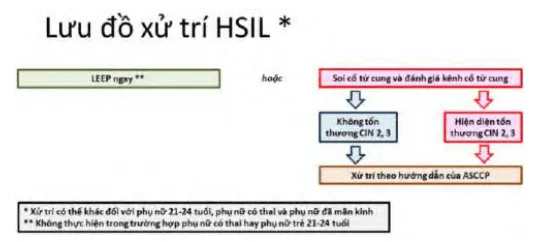 Quản lý HSIL - Hướng dẫn của ASCCP 2012