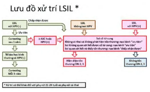 Quản lý LSIL - Hướng dẫn của ASCCP 2012