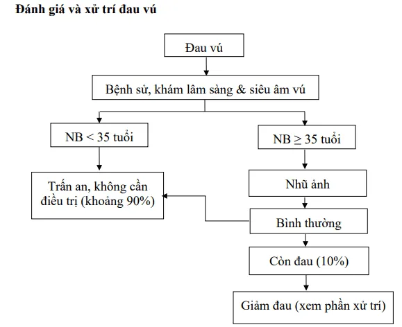 Đánh giá và xử trí đau vú - Bệnh viện Từ Dũ