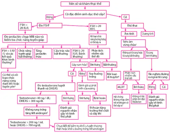 Đánh giá vô kinh nguyên phát