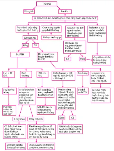 Đánh giá vô kinh thứ phát