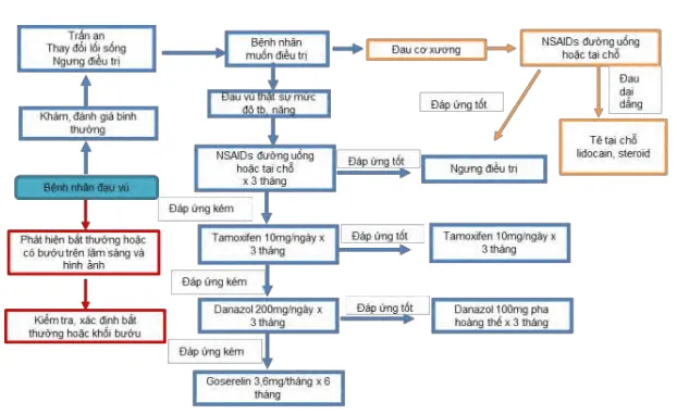 Điều trị đau vú - Phác đồ Cardiff, 2009