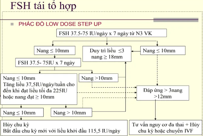 Phác đồ kích trứng FSH tái tổ hợp
