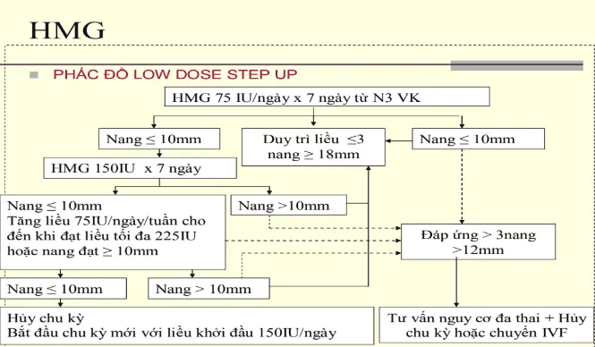 Phác đồ kích trứng HMG