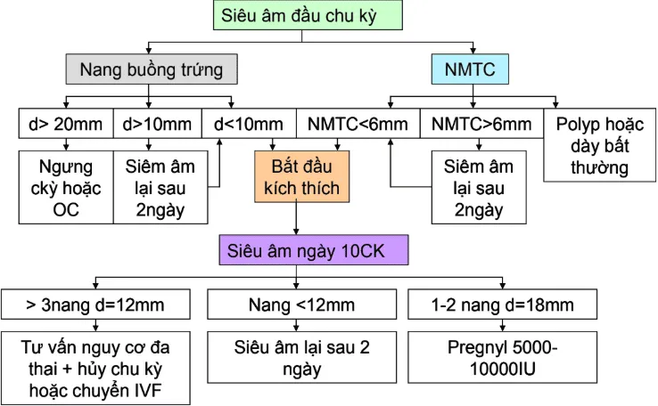 Lược đồ tiếp cận bệnh nhân kích thích đơn noãn