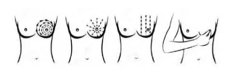 Lộ trình của các ngón tay khi tự khám vú