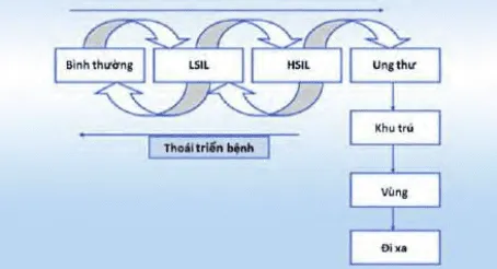 Luận điểm cổ điển về tiến triển tự nhiên của tân sinh biểu mô cổ tử cung