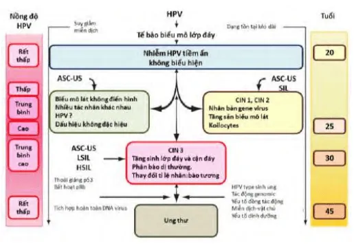 Luận điểm hiện đại về tiến triển không theo trình tự cổ điển