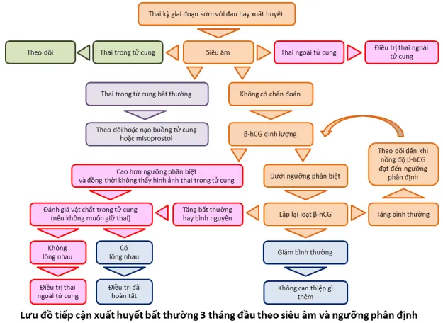 Lược đồ tiếp cận xuất huyết 3 tháng đầu theo siêu âm