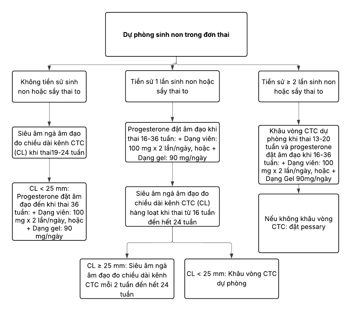 Lưu đồ dự phòng sinh non đơn thai - Bệnh viện Từ Dũ