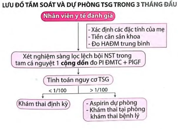 Lưu đồ tầm soát tiền sản giật 3 tháng đầu - Bệnh viện Từ Dũ