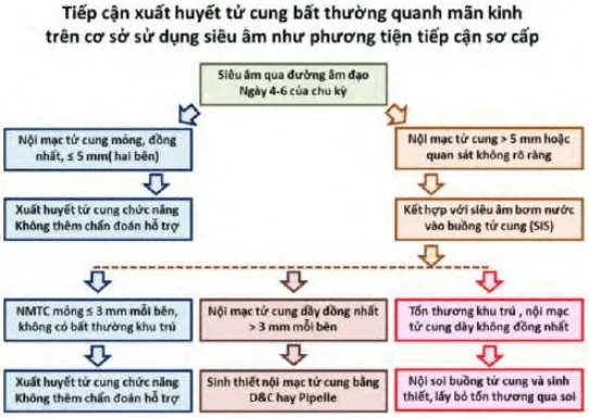 Lưu đồ tiếp cận xuất huyết tử cung bất thường quanh mãn kinh
