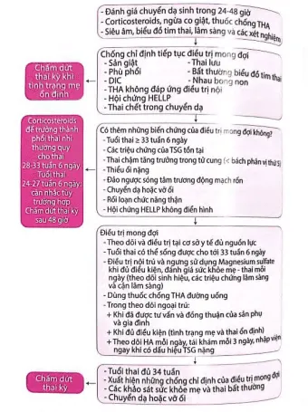 Lưu đồ xử trí tiền sản giật có dấu hiệu nặng - Bệnh viện Từ Dũ