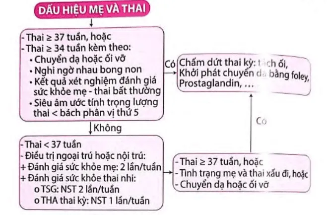 Lưu đồ xử trí tiền sản giật không dấu hiệu nặng - Bệnh viện Từ Dũ