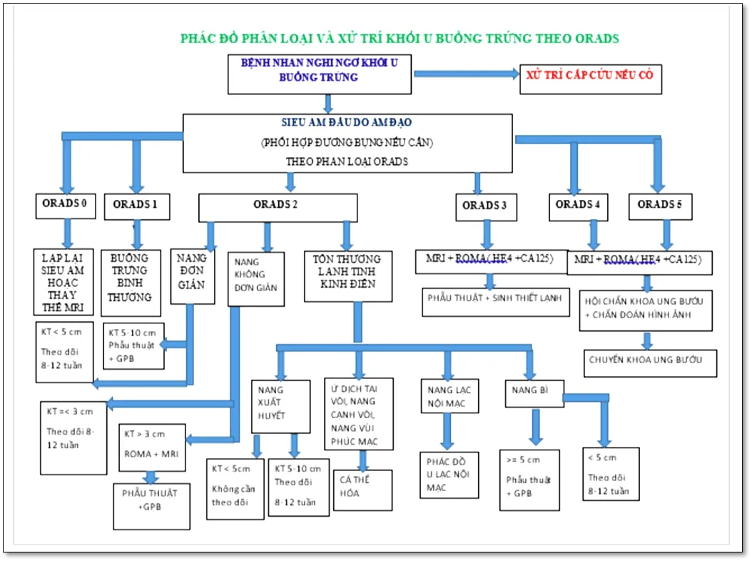 Phác đồ xử trí và phân loại O-RADS