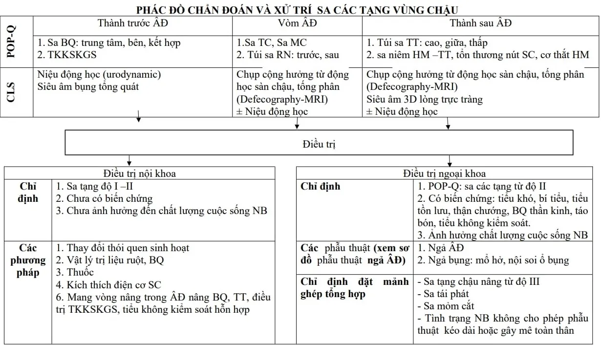 Phác đồ chẩn đoán và xử trí sa tạng chậu - Bệnh viện Từ Dũ