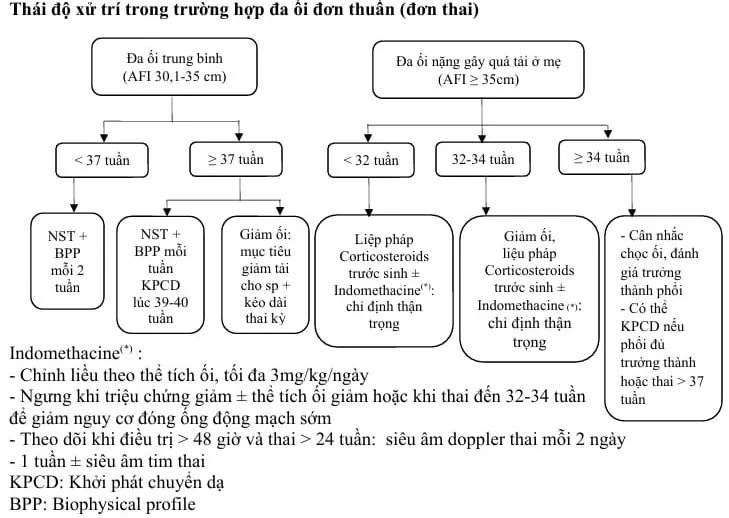 Phác đồ xử trí đa ối đơn thuần - Bệnh viện Từ Dũ