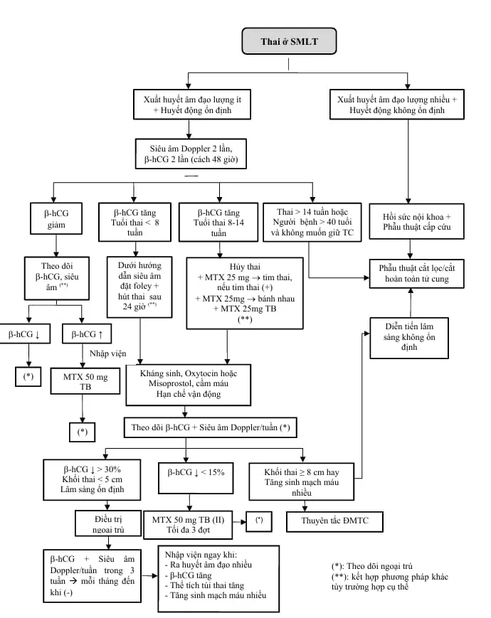 Phác đồ điều trị thai ở sẹo mổ lấy thai - Bệnh viện Từ Dũ
