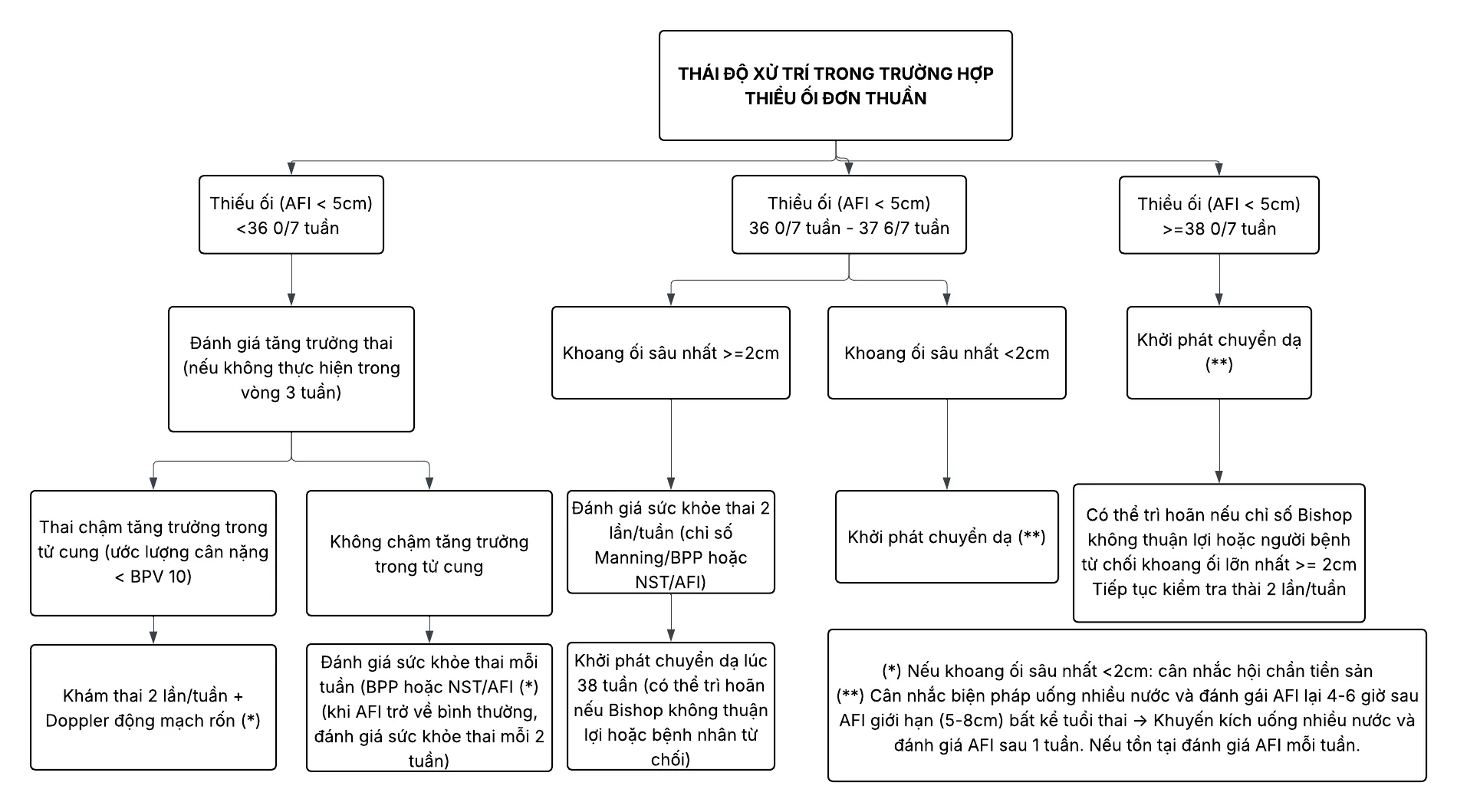 Phác đồ xử trí thiểu ối đơn thuần - Bệnh viện Từ Dũ