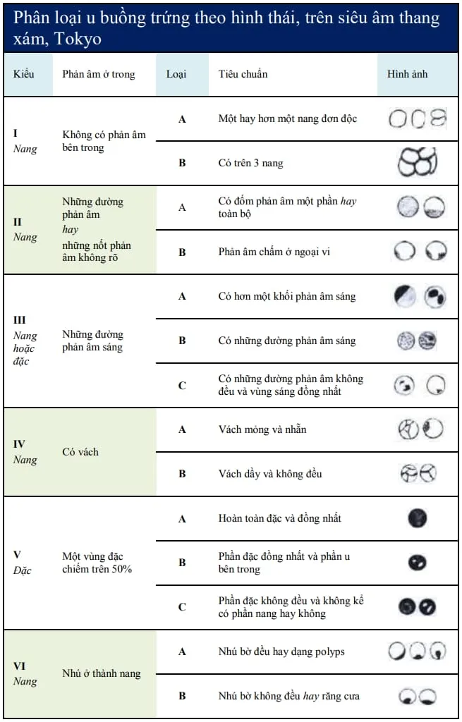 Phân loại u buồng trứng theo hình thái siêu âm Tokyo