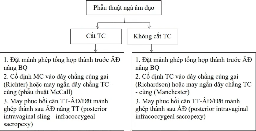 Phẫu thuật đường âm đạo - Bệnh viện Từ Dũ