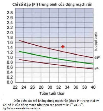 PI trung bình của động mạch rốn