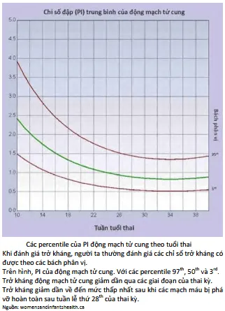 PI trung bình của động mạch tử cung