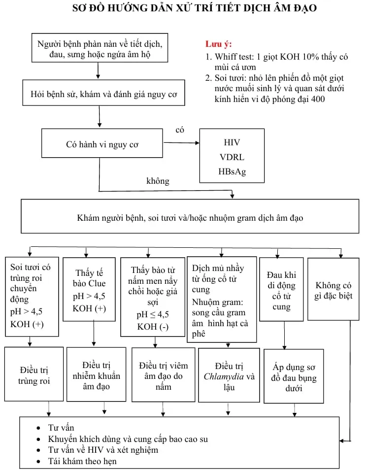 Sơ đồ xử trí tiết dịch âm đạo bất thường - Bệnh viện Từ Dũ