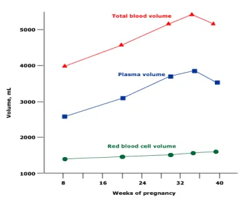 Thay đổi thể tích huyết thanh và hồng cầu trong thai kỳ
