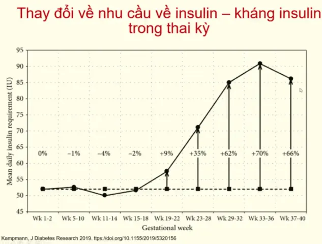 Thay đổi nhu cầu insulin trong thai kỳ