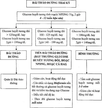 Theo dõi và quản lý ĐTĐ sau sinh