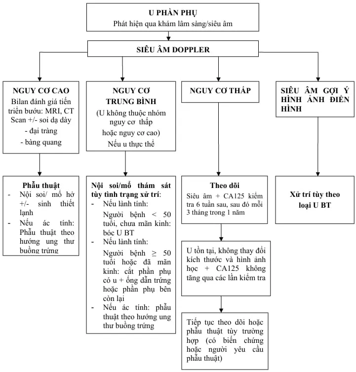 Tiếp cận u phần phụ - Bệnh viện Từ Dũ