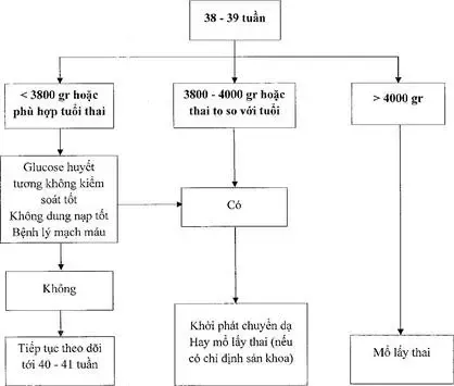 Tóm tắt thời điểm và chỉ định cách sinh