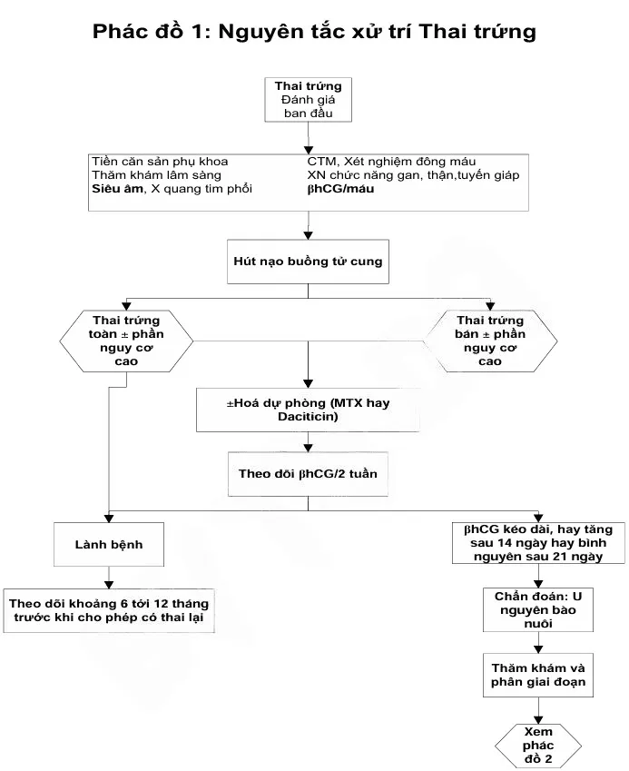 Phác đồ 1 nguyên tắc xử trí thai trứng - Bệnh viện Từ Dũ