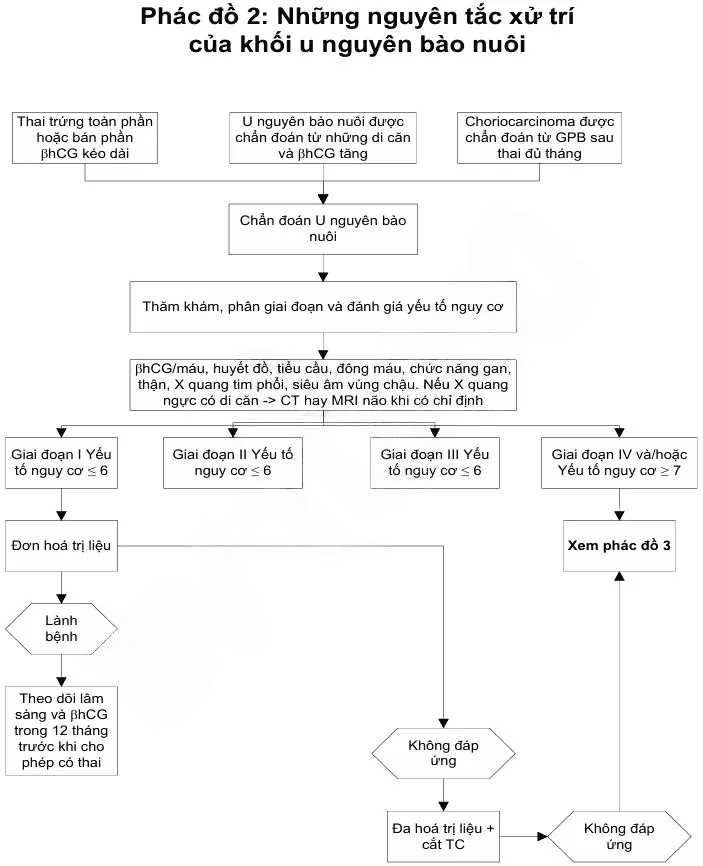 Phác đồ 2 nguyên xử trí của khối u nguyên bào nuôi - Bệnh viện Từ Dũ