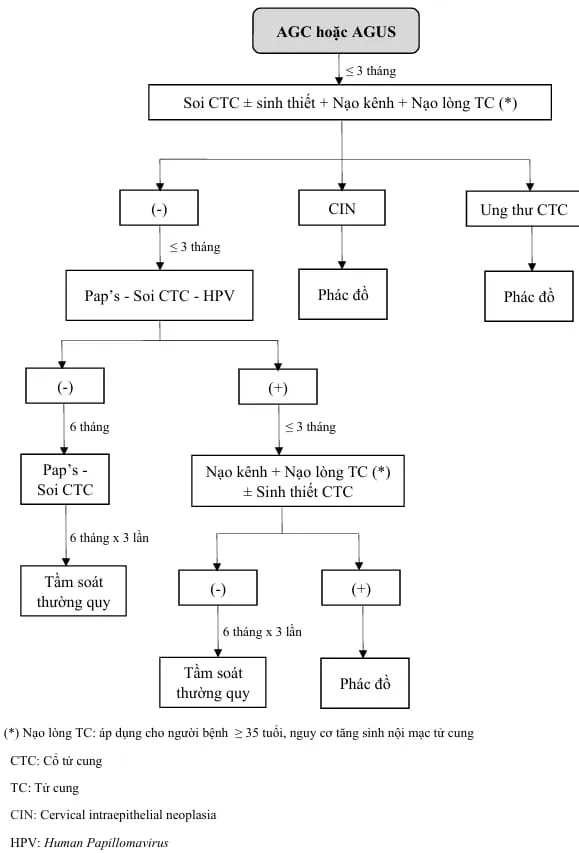 Quản lý AGC hoặc AGUS - Bệnh viện Từ Dũ