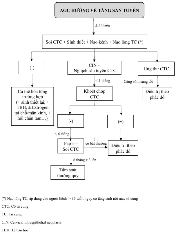 Quản lý AGC hướng về tăng sản tuyến - Bệnh viện Từ Dũ