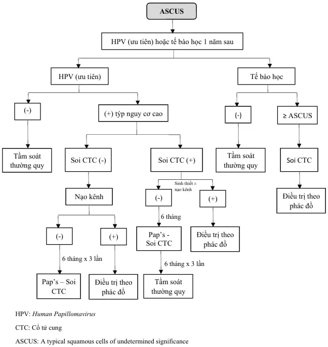 Quản lý ASC-US - Bệnh viện Từ Dũ