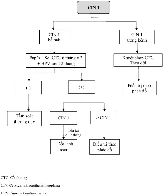 Quản lý CIN 1 - Bệnh viện Từ Dũ