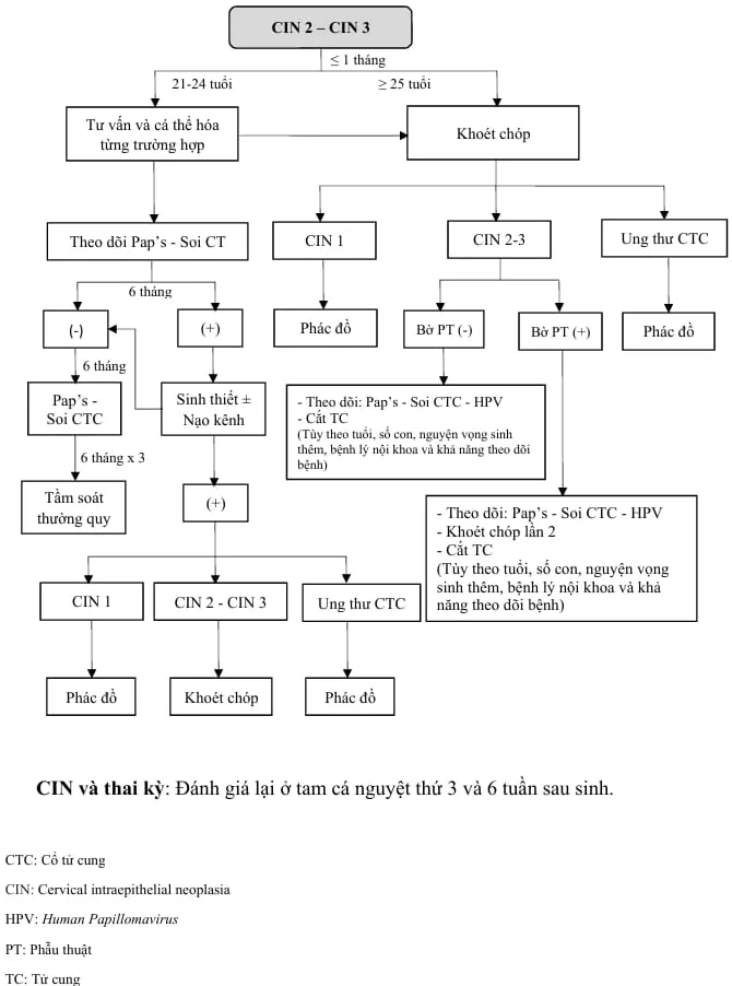 Quản lý CIN 2, 3 - Bệnh viện Từ Dũ
