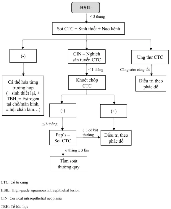 Quản lý HSIL - Bệnh viện Từ Dũ