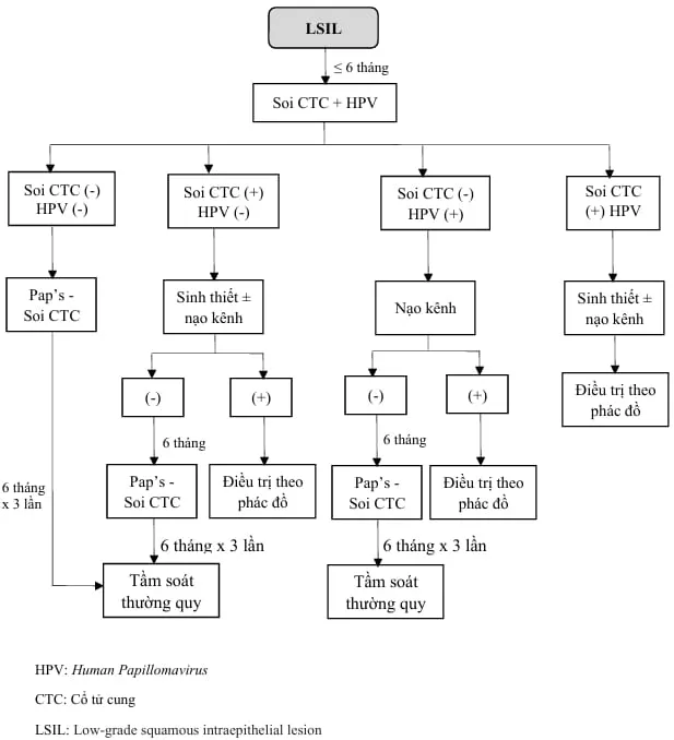 Quản lý LSIL - Bệnh viện Từ Dũ