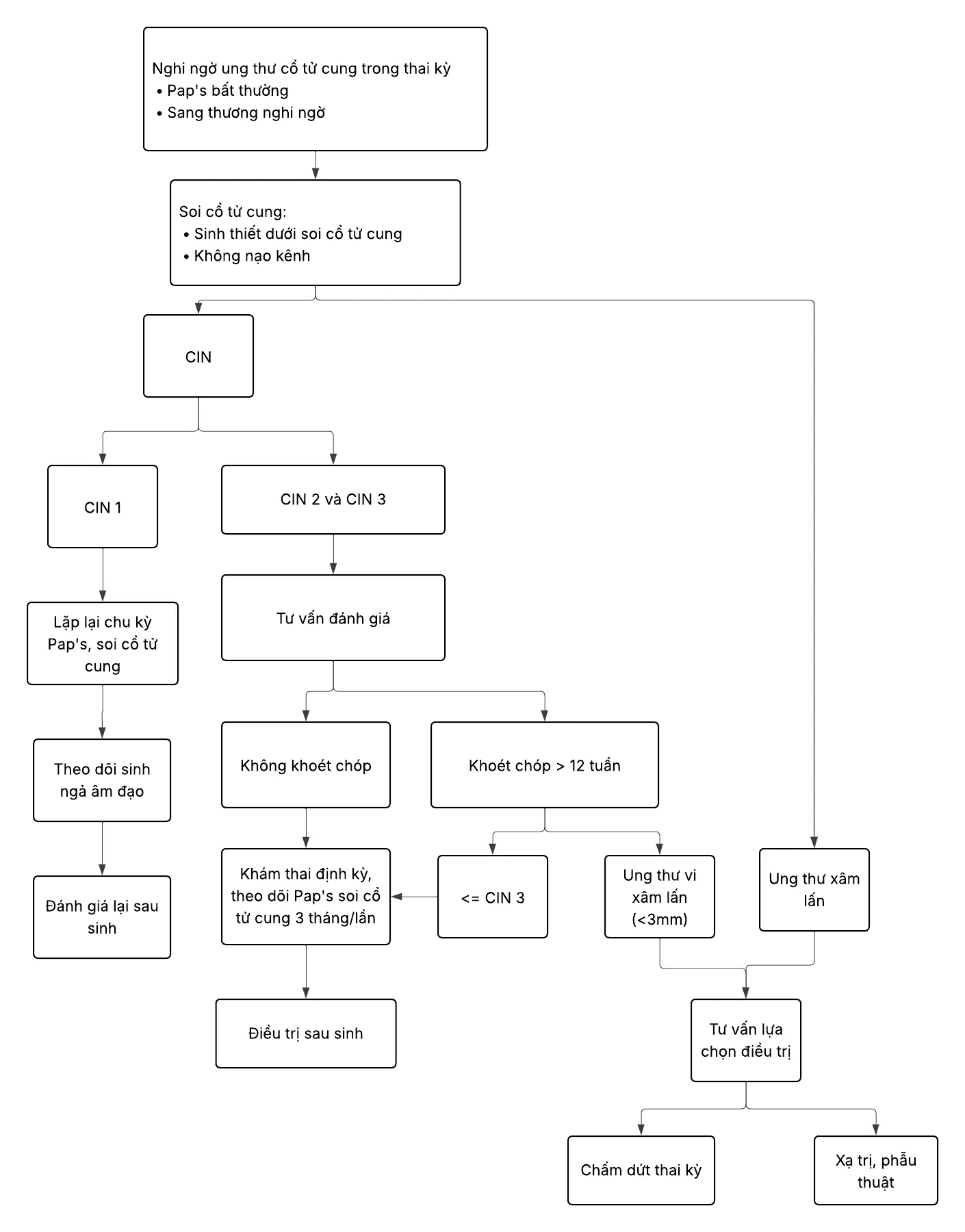Quản lý nghi ngờ ung thư cổ tử cung ở phụ nữ có thai - Bệnh viện Từ Dũ
