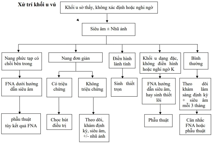 Xử trí u vú - Bệnh viện Từ Dũ