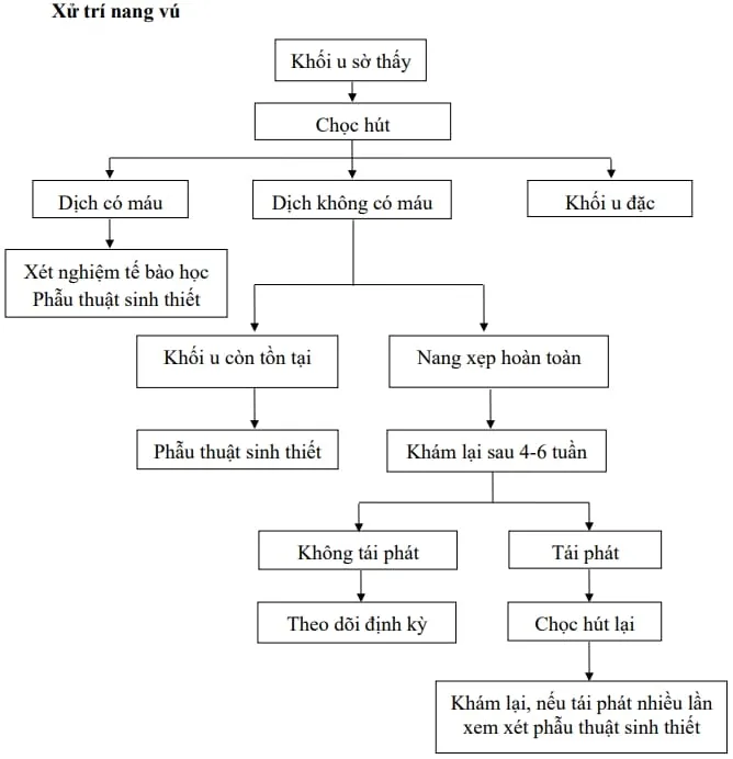 Xử trí nang vú - Bệnh viện Từ Dũ