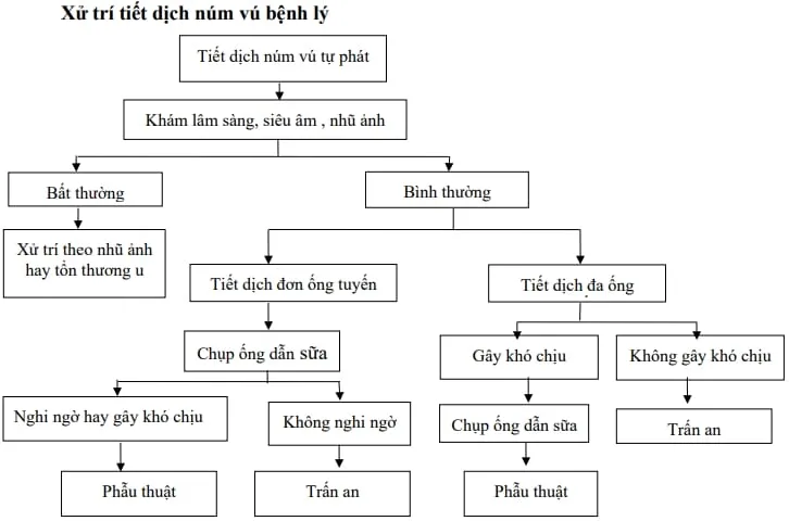 Xử trí tiết dịch núm vú bệnh lý - Bệnh viện Từ Dũ