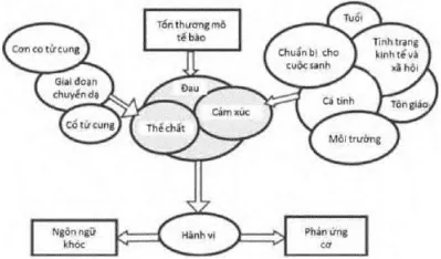 Các yếu tố ảnh hưởng đến đau trong chuyển dạ